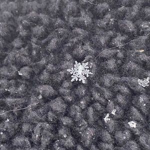 Meet your Posher, Stormie